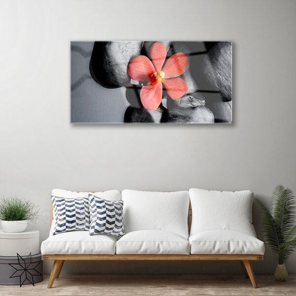 Obraz na skle Kvet kamene umenie 100x50 cm 2 Prívesky