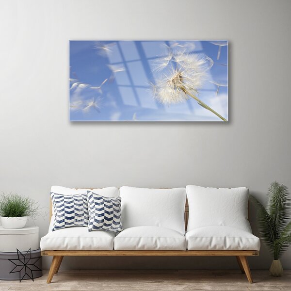 Obraz na skle Púpava rastlina 100x50 cm 2 Prívesky