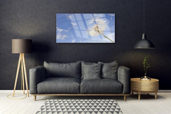 Obraz na skle Púpava rastlina 100x50 cm 2 Prívesky