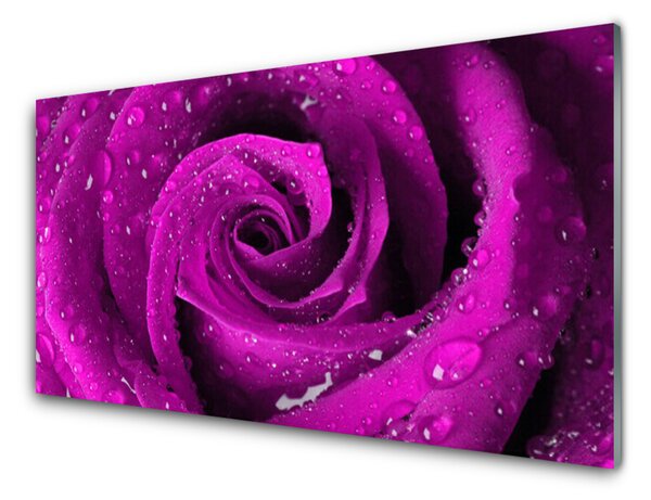 Nástenný panel  Ruže kvet rastlina 100x50 cm