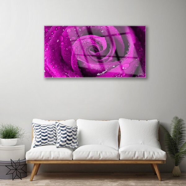 Obraz na skle Ruže kvet rastlina 100x50 cm 2 Prívesky