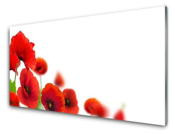 Nástenný panel  Maky rastlina príroda 125x50 cm