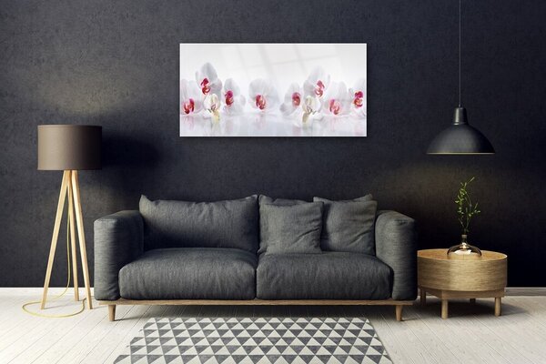 Obraz na skle Kvety rastlina príroda 100x50 cm 2 Prívesky
