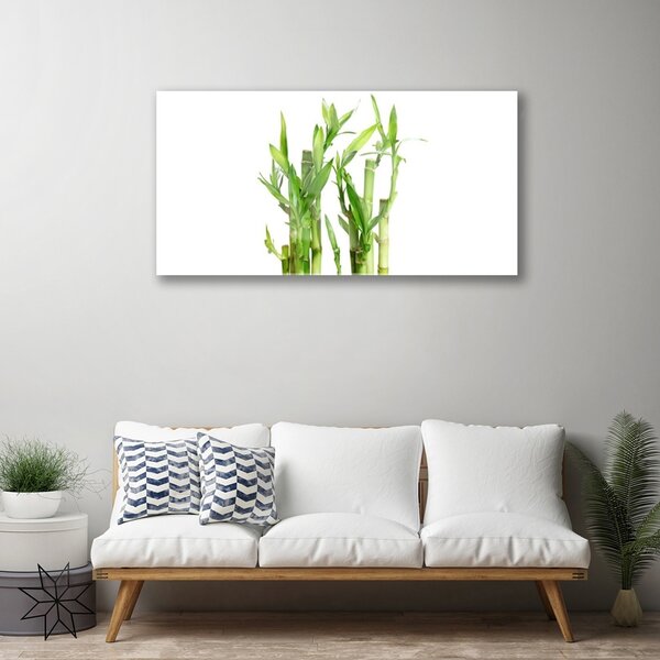 Obraz na skle Bambus stonka kvet rastlina 100x50 cm 2 Prívesky