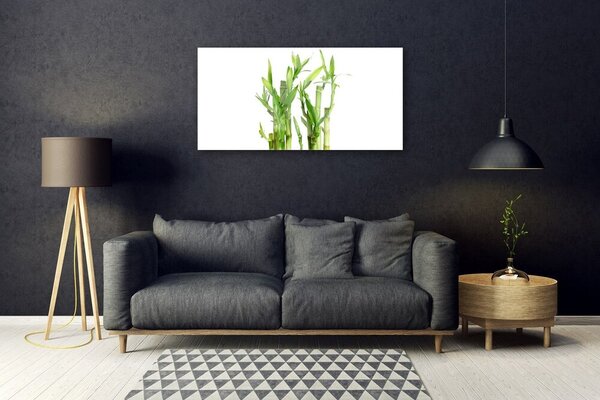 Obraz na skle Bambus stonka kvet rastlina 100x50 cm 2 Prívesky