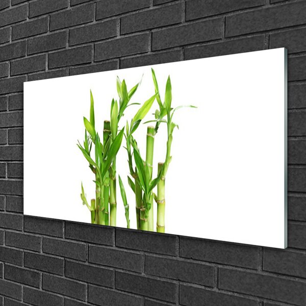 Obraz na skle Bambus stonka kvet rastlina 100x50 cm 2 Prívesky