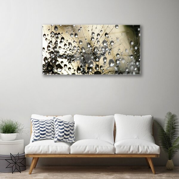 Obraz na skle Púpava rastlina 100x50 cm 2 Prívesky