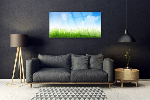 Obraz na skle Tráva príroda rastlina 100x50 cm 2 Prívesky