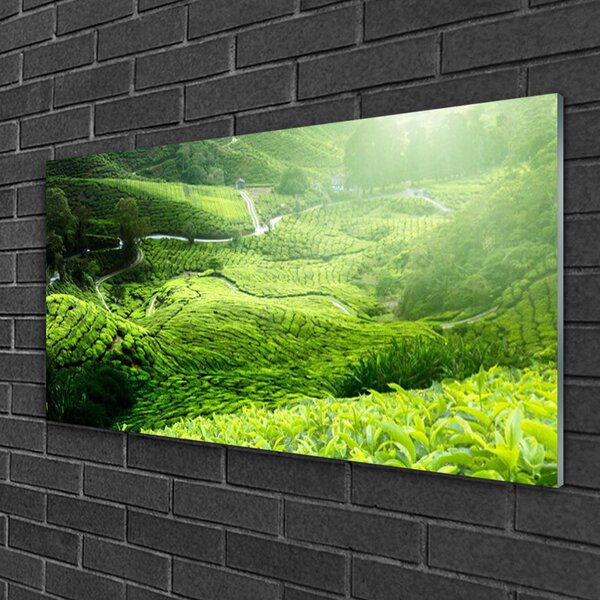 Obraz na skle Lúka príroda 100x50 cm 2 Prívesky