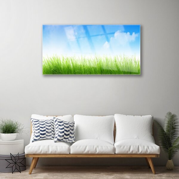 Obraz na skle Tráva príroda rastlina 100x50 cm 2 Prívesky