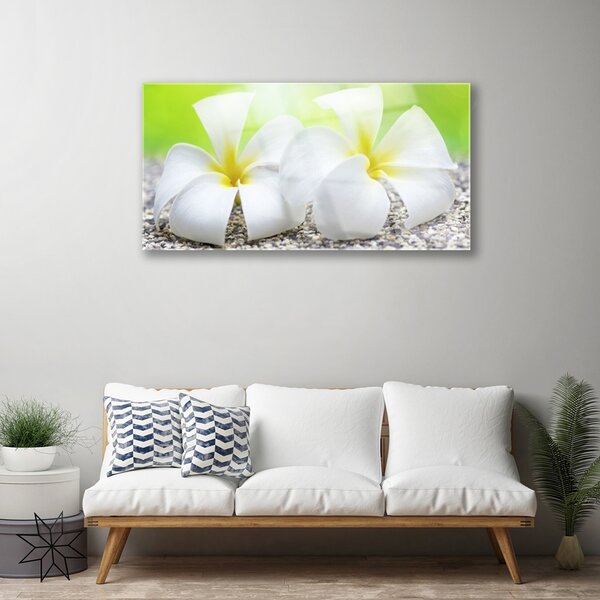 Obraz na skle Kvety rastlina príroda 100x50 cm 2 Prívesky