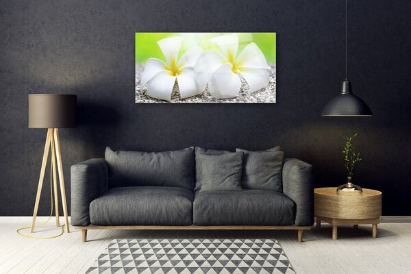 Obraz na skle Kvety rastlina príroda 100x50 cm 2 Prívesky