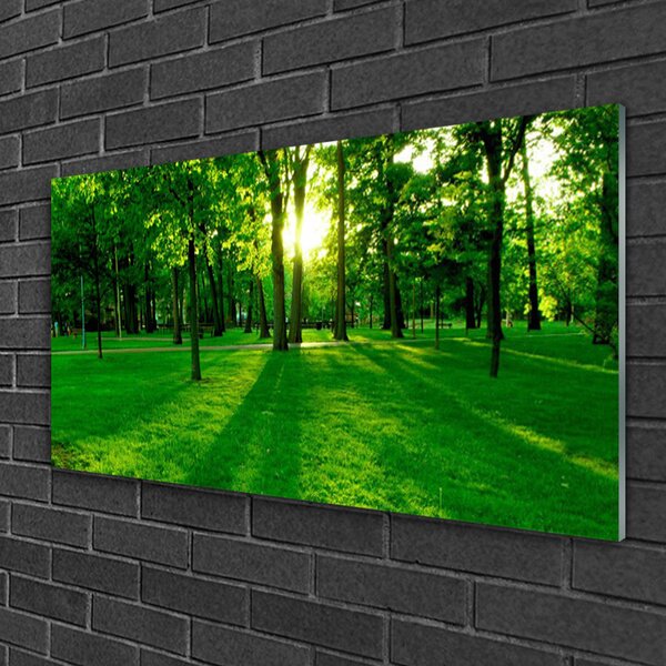 Obraz na skle Les príroda 100x50 cm 2 Prívesky