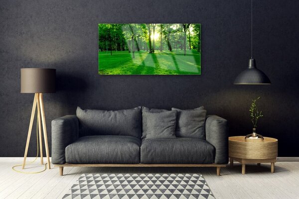 Obraz na skle Les príroda 100x50 cm 2 Prívesky