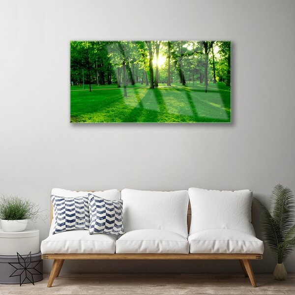 Obraz na skle Les príroda 100x50 cm 2 Prívesky