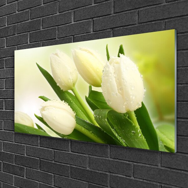 Obraz na skle Tulipány kvety rastlina 100x50 cm 2 Prívesky