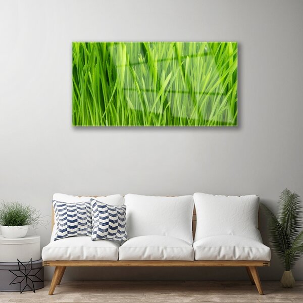 Obraz na skle Tráva rastlina príroda 100x50 cm 2 Prívesky