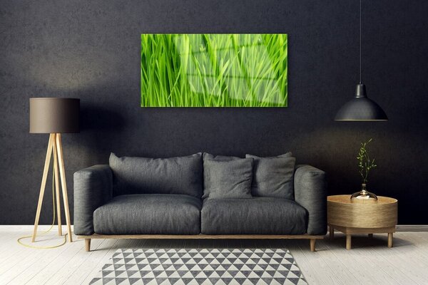 Obraz na skle Tráva rastlina príroda 100x50 cm 2 Prívesky