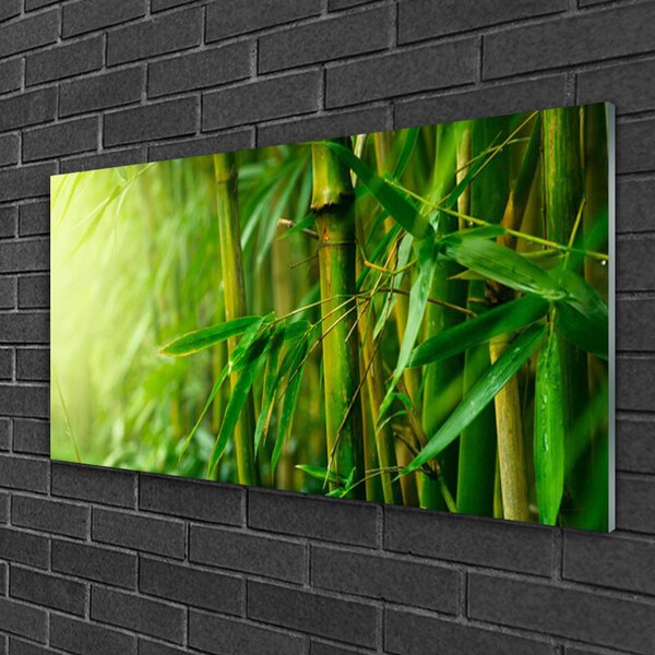 Obraz na skle Bambus stonky rastlina 100x50 cm 2 Prívesky
