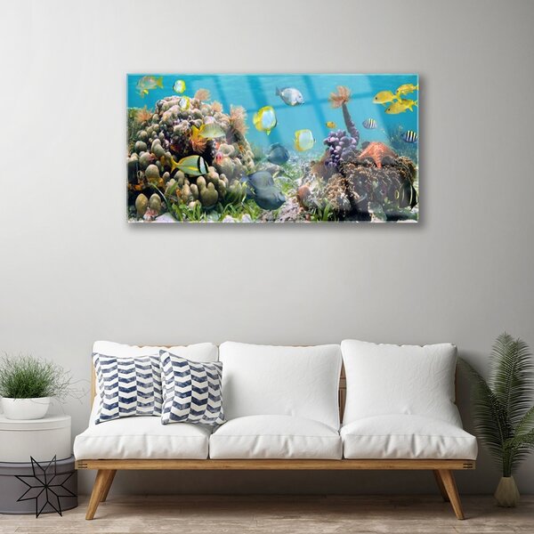 Obraz na skle Koralový útes príroda 100x50 cm 2 Prívesky