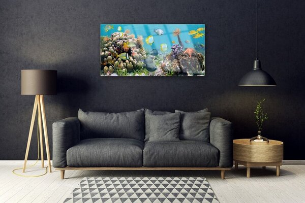 Obraz na skle Koralový útes príroda 100x50 cm 2 Prívesky