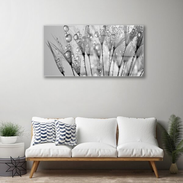 Obraz na skle Púpava rastlina 100x50 cm 2 Prívesky