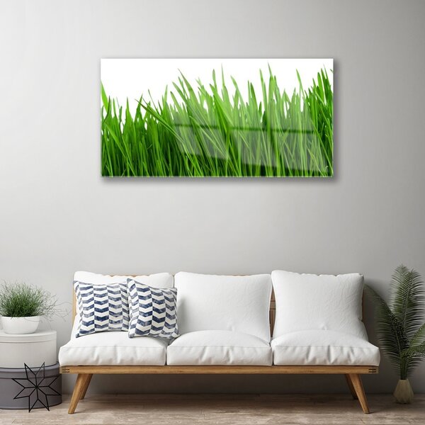 Obraz na skle Tráva rastlina príroda 100x50 cm 2 Prívesky