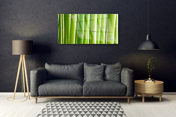 Obraz na skle Bambus stonka kvet rastlina 100x50 cm 2 Prívesky