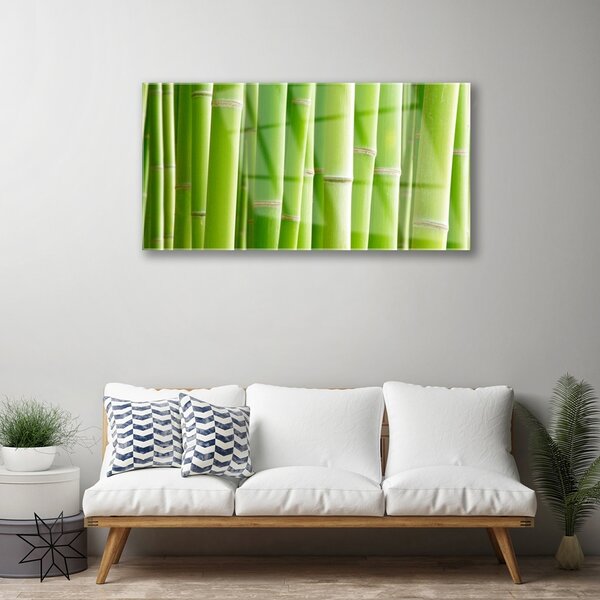 Obraz na skle Bambus stonka kvet rastlina 100x50 cm 2 Prívesky