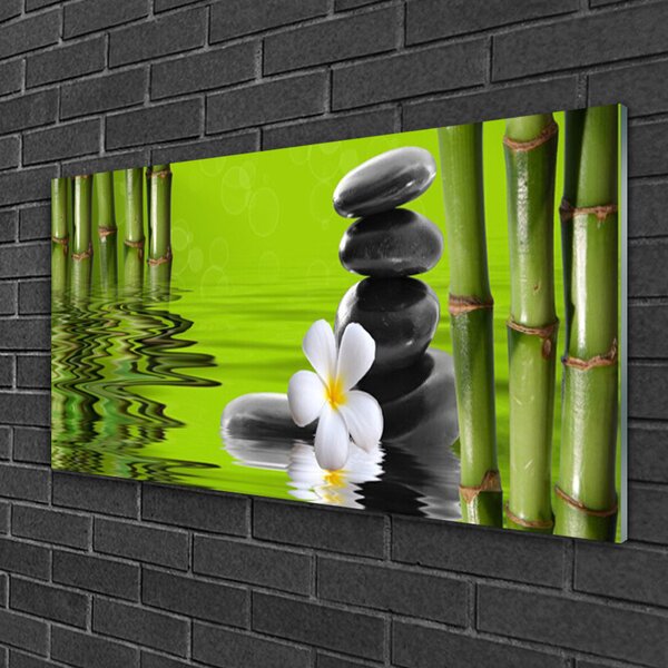 Obraz na skle Bambus kamene rastlina 100x50 cm 2 Prívesky