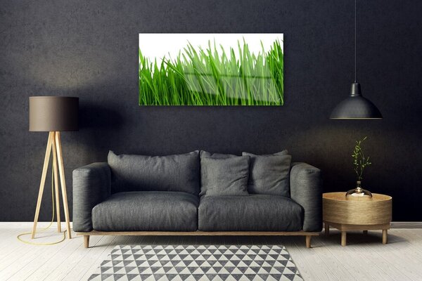 Obraz na skle Tráva rastlina príroda 100x50 cm 2 Prívesky