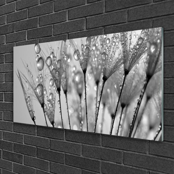 Obraz na skle Púpava rastlina 100x50 cm 2 Prívesky