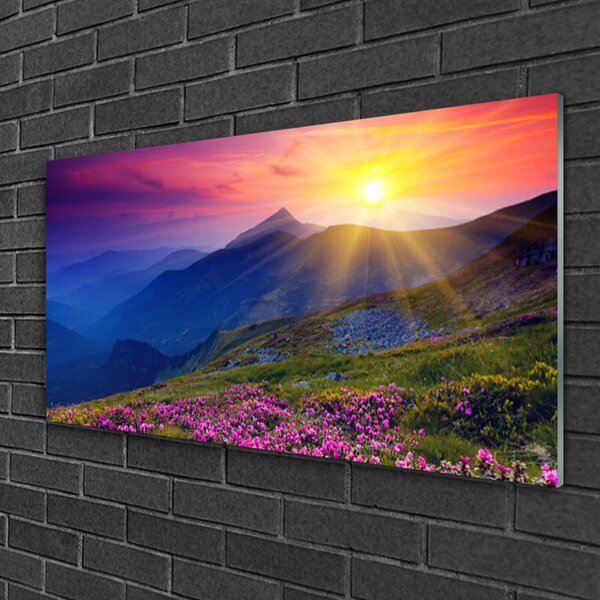 Obraz na skle Hory kvet lúka krajina 100x50 cm 2 Prívesky