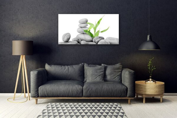 Obraz na skle Kamene listy umenie 100x50 cm 2 Prívesky