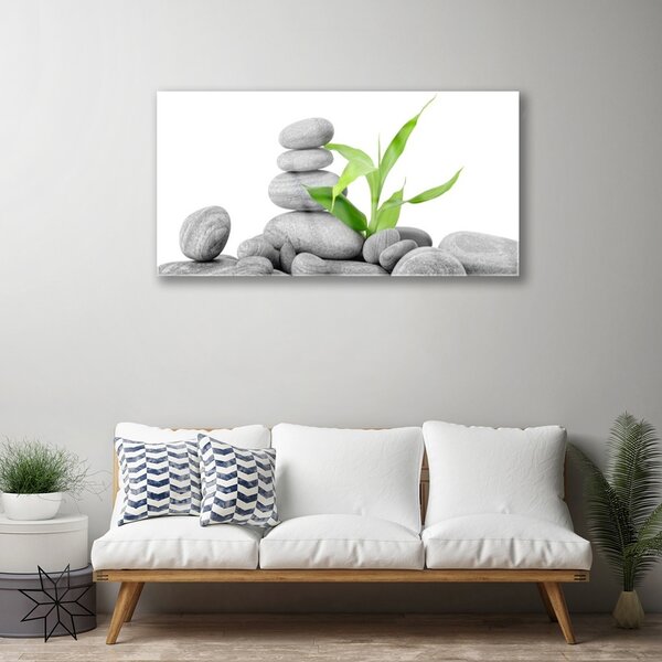Obraz na skle Kamene listy umenie 100x50 cm 2 Prívesky