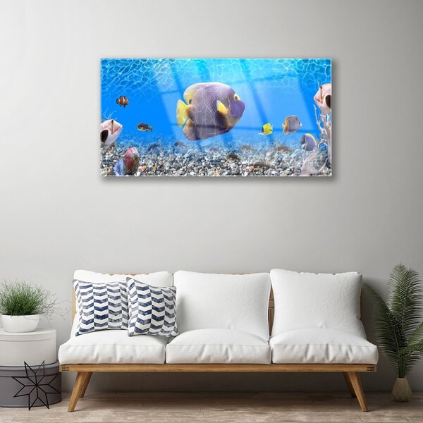 Obraz na skle Ryba príroda 100x50 cm 2 Prívesky