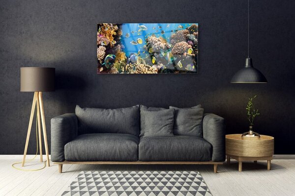 Obraz na skle Koralový útes príroda 100x50 cm 2 Prívesky