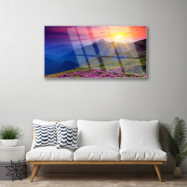 Obraz na skle Hory kvet lúka krajina 100x50 cm 2 Prívesky