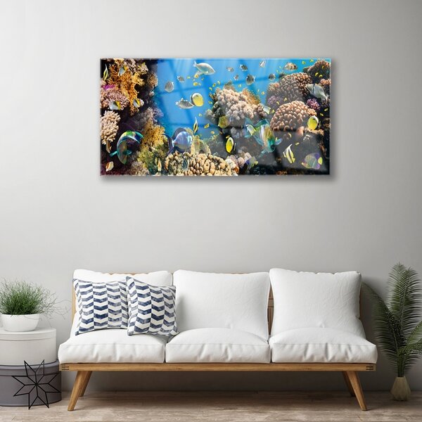 Obraz na skle Koralový útes príroda 100x50 cm 2 Prívesky