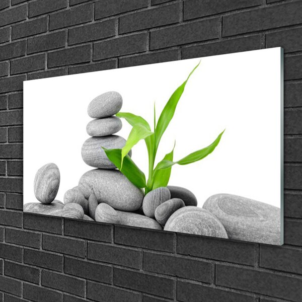 Obraz na skle Kamene listy umenie 100x50 cm 2 Prívesky