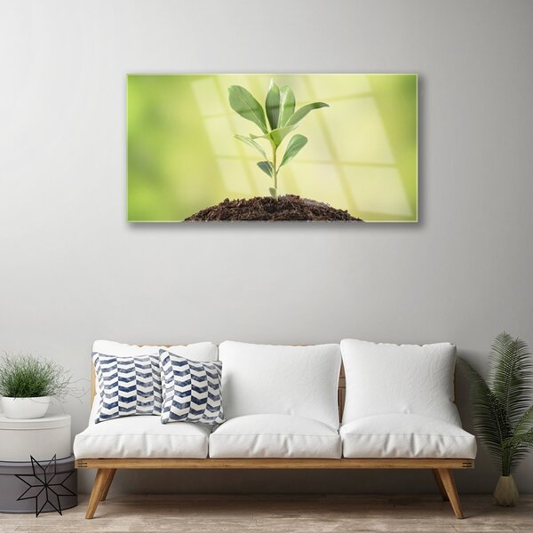 Obraz na skle Pôda rastlina rast 100x50 cm 2 Prívesky