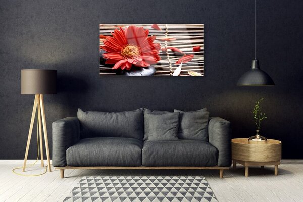 Obraz na skle Kvet rastlina príroda 100x50 cm 2 Prívesky