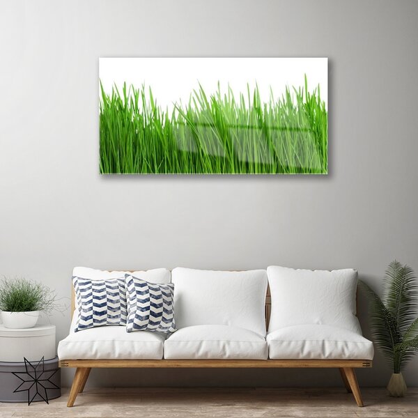 Obraz na skle Tráva rastlina príroda 100x50 cm 2 Prívesky