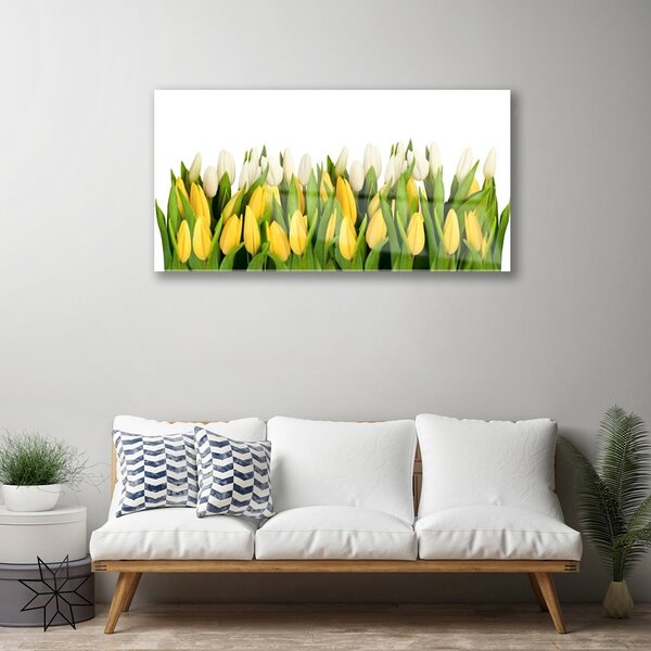 Obraz na skle Tulipány kvety rastlina 100x50 cm 2 Prívesky