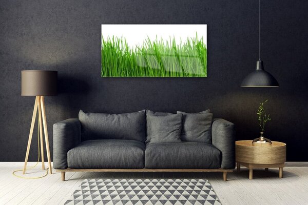 Obraz na skle Tráva rastlina príroda 100x50 cm 2 Prívesky