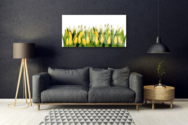 Obraz na skle Tulipány kvety rastlina 100x50 cm 2 Prívesky