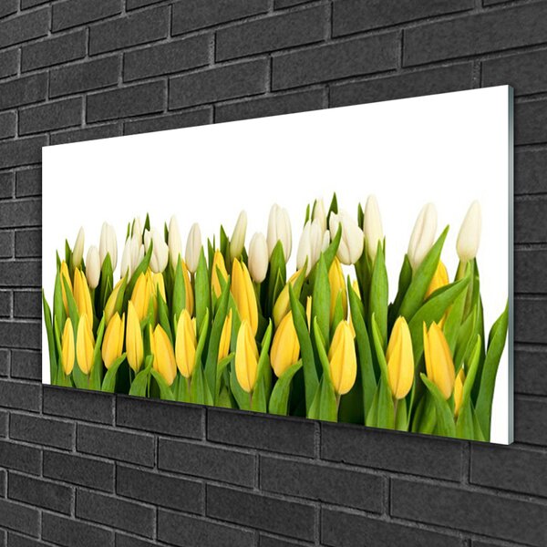 Obraz na skle Tulipány kvety rastlina 100x50 cm 2 Prívesky