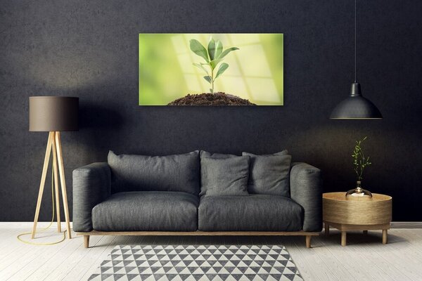 Obraz na skle Pôda rastlina rast 100x50 cm 2 Prívesky