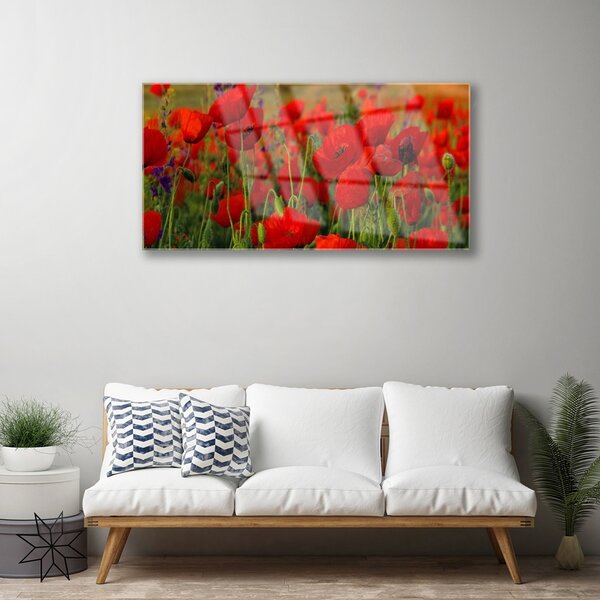Obraz na skle Maky rastlina príroda 100x50 cm 2 Prívesky