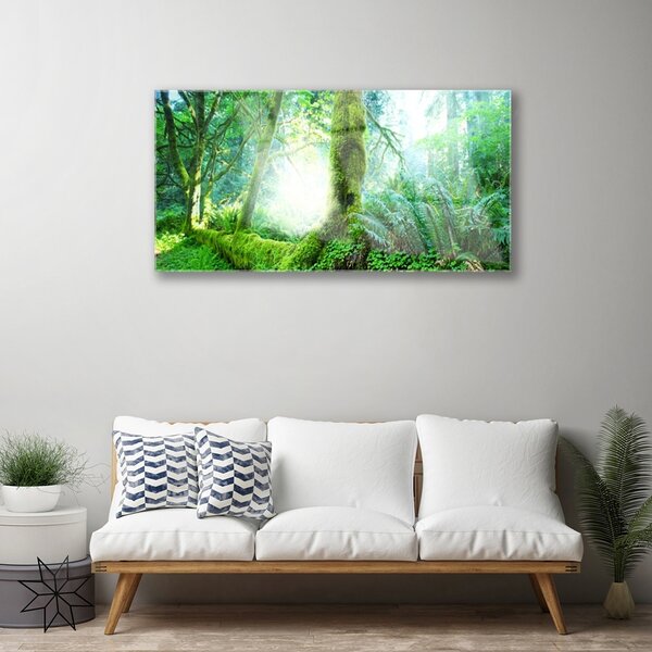 Obraz na skle Les príroda 100x50 cm 2 Prívesky